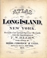 Long Island 1873 